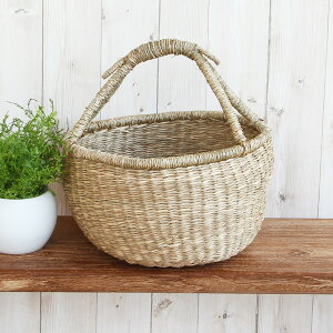 V[OX oXPbg nhEh^ MTCY/  JS [ [oXPbg AWA  󂩂   k VRf [ [JS ҂݂  