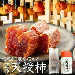 x60z V` ` 80g | 16`8Jbg F{Y p Mtgp | ` a` sc` hCt[c aَq | R܂ꂽՂ̉ʎ