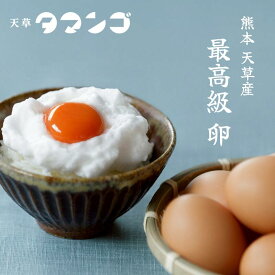 【天草 タマンゴ】メディア話題の高級卵｜マンゴー100％飼料で育てた濃厚たまご｜卵かけご飯・贈答用ギフトに最適｜熊本県産 鶏卵 | 天草タマンゴ 最高級 卵 タマンゴファーム