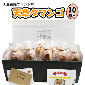 楽天市場】【天草タマンゴ10個入り】天草宝島 生卵 たまご マンゴ 飼料 