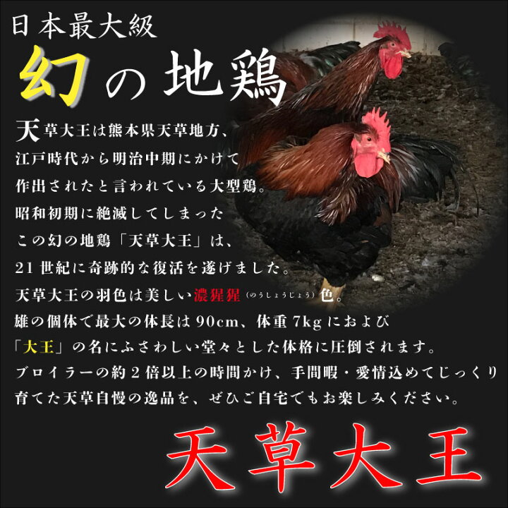 天草大王 丸鶏雌 中抜き 2kg 10人前 鶏肉 鳥肉 丸焼き 焼肉 q お取り寄せ グルメ 冷凍 送料無料 熊本 天草 詰め合わせ 高級 パーティー用 21年秋冬新作