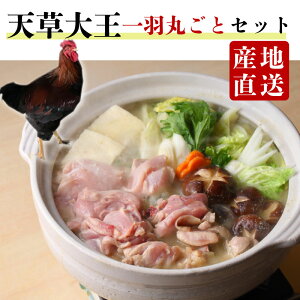 yV剤 n{ { HۂƃZbgz蕨 Mtg YnO  ① Ƃɂ n{ `L ^pN  F{ {  l TT~ H H o[ 