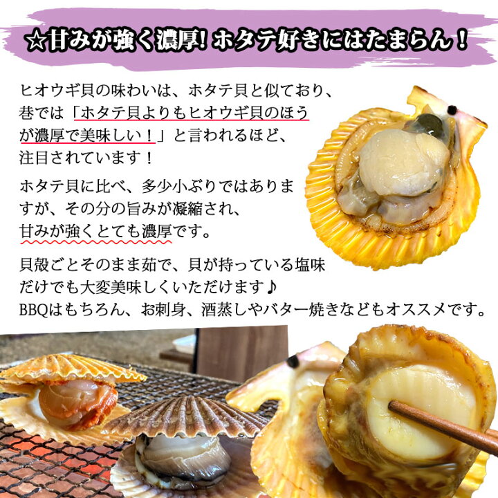 楽天市場 ヒオウギ貝30個入り ひおうぎ貝 緋扇貝 虹色貝 海の宝石 殻付き 贈答用 プレゼント 海の幸 浜焼き q 産地直送 熊本 天草 お歳暮 ギフト 熊本 特産品のメルカートくまもと