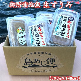 【御所浦地魚生すりみ(300g×6個)】熊本県産 天草 産地直送 生すりみ 地魚 お鍋 お吸い物 つみれ 冷凍 えそ ぐち はも いか すり身