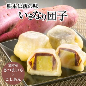 【熊本名物】長寿庵 いきなり団子 10個 20個｜熊本産 さつまいも×こしあん 餡子 郷土菓子 和菓子 ギフト 冷凍配送