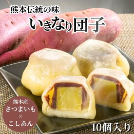 【熊本名物】長寿庵 いきなり団子 10個 20個｜熊本産 さつまいも×こしあん 餡子 郷土菓子 和菓子 ギフト 冷凍配送
