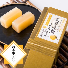 【天草の晩柑ようかん2本入り】【熊本天草の和菓子】【晩柑(ばんかん)入り】【天草謹製認定品】熊本名物 熊本銘菓 羊羹 詰合せ 和菓子 お菓子 お茶菓子 スイーツ 珍しい お取り寄せ お土産 プチギフト 贈り物 内祝い 結婚祝い 敬老の日 残暑見舞い お彼岸