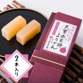 【無花果(イチジク)ようかん2本入り】【熊本天草の和菓子】【天草の南蛮柿のようかん】【熊本銘菓】【天草謹製認定品】熊本名物 お菓子 スイーツ お茶菓子 詰合せ 珍しい 内祝い 結婚祝い お取り寄せ お土産 プチギフト 敬老の日 残暑見舞い お彼岸