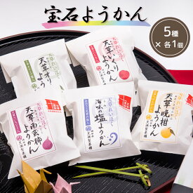 【宝石ようかん(5種入り)】【熊本天草の和菓子】【天草謹製認定品】熊本名物 熊本銘菓 羊羹 詰合せ お菓子 お茶菓子 スイーツ 珍しい お取り寄せ お土産 プチギフト 贈り物 内祝い 誕生日祝 あおさ 晩柑 いくり 南蛮柿 いちじく 天草オリーブ