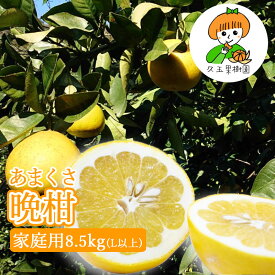 久玉果樹園【あまくさ晩柑8.5kg家庭用(L以上)】熊本 熊本県産 天草晩柑 河内晩柑 ジューシーフルーツ 柑橘 甘い ギフト プレゼント 内祝い 熊本土産 箱 箱買い ジューシー 果樹園 低農薬 産地直送 お彼岸 父の日 お取り寄せ 健康 デコポン かんきつ ばんかん 晩柑