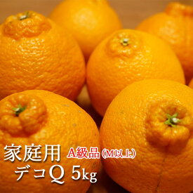 久玉果樹園【デコQ家庭用A級品5kg(M以上)】熊本 熊本県産 天草 牛深 デコポン 甘い ギフト プレゼント 内祝い 熊本土産 箱 箱買い ジューシー 果樹園 産地直送 お彼岸 かんきつ