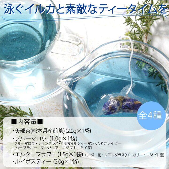 楽天市場 イルカお試し4パック イルカの形のティーバッグ 矢部茶 煎茶 ブルーマロウ ルイボスティー エルダーフラワーティー 熊本県 天草 ハーブティー 緑茶 珍しい 熊本土産 贈り物 ギフト プレゼント レモングラス カモマイル お茶会 結婚祝い 敬老の日 お彼岸