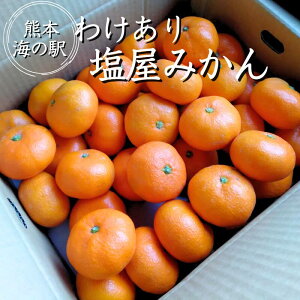 yF{ C̉w ƒp 󂠂݂z3L 5L 10L 2S`STCY ͓Y ݂ ͓݂  ~J F{݂  (kEkCEꏜ)   Ӑ 