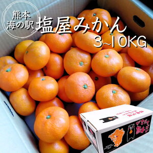 yF{ C̉w ݂z܃ł͂ 3L 5L 10L  MtgɍœK M`LTCY ͓Y ݂ ~J F{݂  (kEkCEꏜ)   