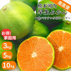 【 塩屋みかん 小玉 家庭用 】2S 〜 S サイズ 混合 熊本県産 塩屋みかん 河内産 ミカン 熊本みかん くまもと みかん 甘い 果物 柑橘 九州 訳あり 蜜柑 わけあり 熊本土産 箱 箱買い 人気 限定 3