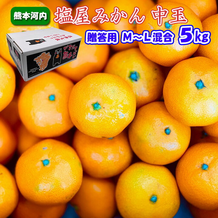 楽天市場】【 塩屋みかん 中玉 贈答用 5kg 】 M ～ L サイズ 混合 熊本 