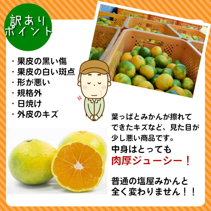 楽天市場 訳あり塩屋みかん5kg 熊本県産 ふぞろい みかん 河内産 ミカン 熊本みかん くまもとみかん 甘い 熊本土産 箱 箱買い 高糖度 家庭用 熊本 特産品のメルカートくまもと