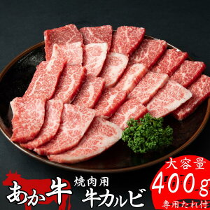 yF{Y  ēp Jr 400g ^tz F{Y a Ya Y Ⓚ Ԑg a Jr ē ܐ؂ a100 h b F{ o[xL[ BBQ   g  