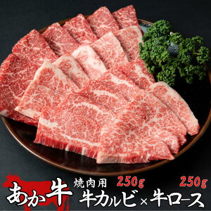 yF{Y  ēp Jr [X 500g ^tz F{Y a Ya Y Ⓚ Ԑg a ē h b F{ o[xL[ BBQ Hה   g ~ wV[ 