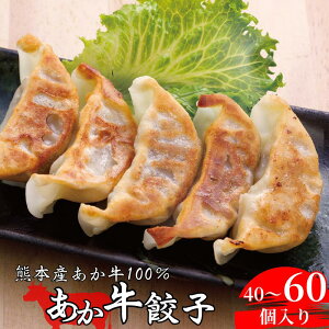 【 熊本 和牛 あか牛 ぎょうざ 】餃子 ギョウザ 甲誠牛 国産 冷凍 和牛100% 阿蘇 熊本名物 お取り寄せ 内祝い 贈答用 三協畜産