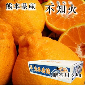 【 贈答用 不知火 5kg 】不知火 熊本県産 デコポン 柑橘 プレゼント ギフト 内祝 熊本 しらぬい ミカン みかん 河内 箱買い お彼岸 くまもと 九州土産 熊本土産 かんきつ