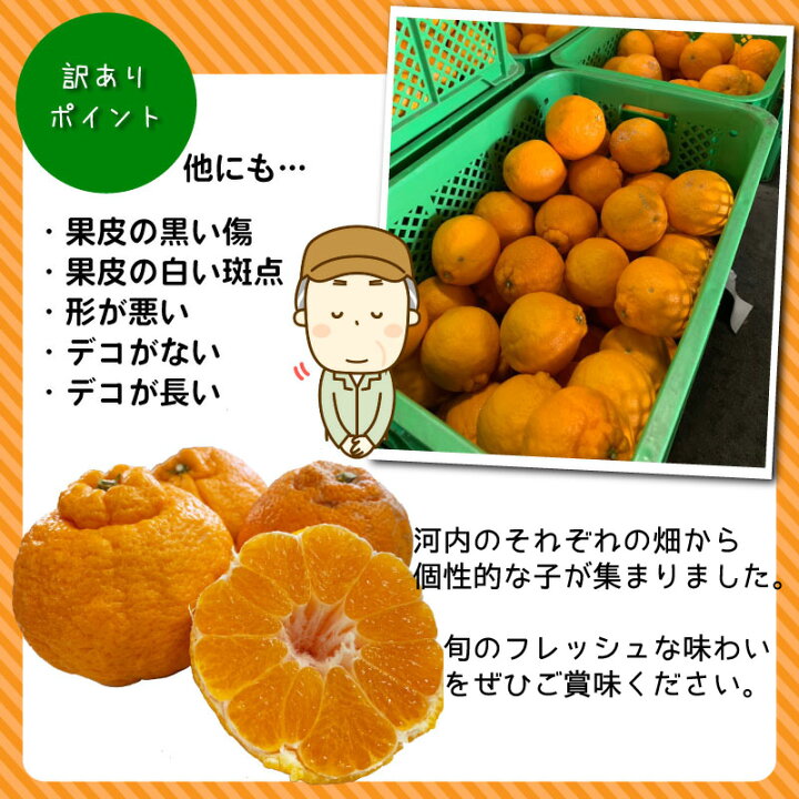 楽天市場 訳あり不知火3kg 不知火 熊本県産 デコポン プレゼント ギフト 内祝 熊本 しらぬい ミカン みかん 河内 箱買い お彼岸 まとめ買い メルカートくまもと