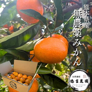 g_ _݂ F{ V R͔| Yn  ݂ _ _sgp 2.5L`15L w엿sgp R̂܂܂̊Â݂Ǝ_ ƒpEpɂ _ł͂Ȃ