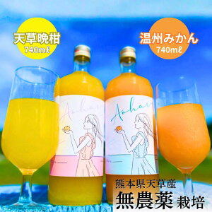 AIn 100%W[X B݂ Vӊ 740ml ݔ | YEXg[gʏ`100% | F{ VY | ~J ӊ {̊Â݂ƍ肪LґW[X | S_ _sgp