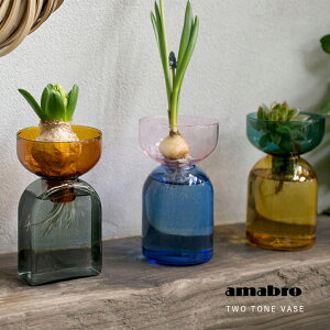 ԕr  ֑} KX A}u c[g[ x[X amabro TWO TONE VASE t[x[X ϔMKX uh k͔| |bg  lp Mtg qVX  fBt[U[{g C
