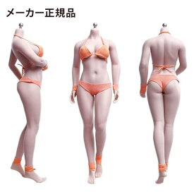 【TBLeague】 1/6スケール フィギュア 最新豊満 少し肉付き グラビアモデル素体セット 白肌色 PHMB2019-S28A