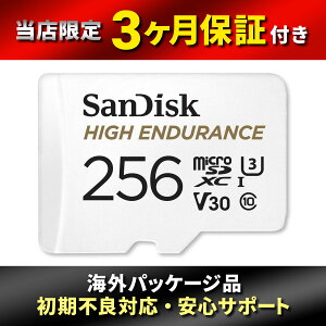 �ySanDisk�z �T���f�B�X�N ���ϋv �h���C�u���R�[�_�[ �A�N�V�����J�����Ή� microSDXC 256GB SDSQQNR-256G