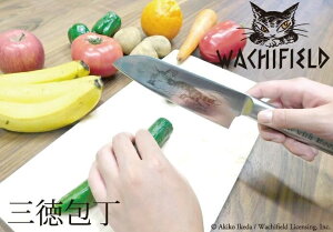 yr[eŎgN[|v[gIz L̃_ Ɋt I[ XeX O 480-101 Vo[ nn 17cm