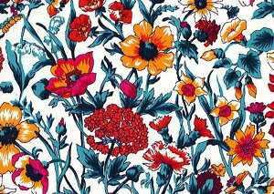 LIBERTYoeBvgE~l[g(rj[R[eBOn)Rachel(C`F)MATLAMI3636003DE oeB ~l[g n