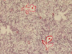 LIBERTYoeBvgE~l[g(rj[R[eBOn)Unforgettable Moment(AtH[Qb^u[g)MATLAMI3630276-10A oeB ~l[g n