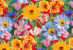 LIBERTYoeBvg YVFgW[W(^iW[W)n(2018Ntĕ)60/2VMeadow Melody Small(hEEfBEX[)3638112-18BK