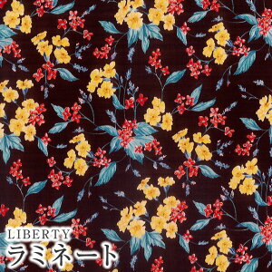 LIBERTYリバティプリント・国産つや消しラミネート(ビニールコーティング生地)【2019AW English Orchard Collection】<Yorkshire Meadow>(ヨークシャー・メドウ)MATLAMI-DC30106-J19C