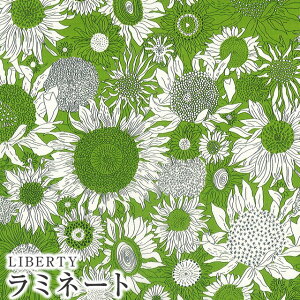 LIBERTY FABRICS oeBvg Y~l[g(rj[R[eBOn)yG^[izSmall Sus(X[TX)yO[zMATLAMI3150160WE