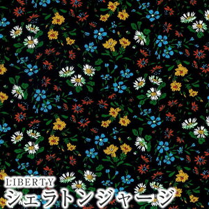 LIBERTYoeBvg YVFgW[W(^iW[W)n 60/2VMaria(}A)3331131WK