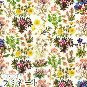 LIBERTYoeBvgEY~l[g(rj[R[eBOn)yG^[izKenilworth(Pj[X)MATLAMI-DC28645AE