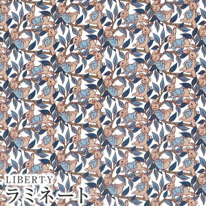 s[^[rbg×oeBt@ubNX LIBERTYoeBvg Y~l[g(rj[R[eBOn)Peter's Tails(s[^[YEeCY)yu[zMATLAMI-DC30738-J20D Peter 