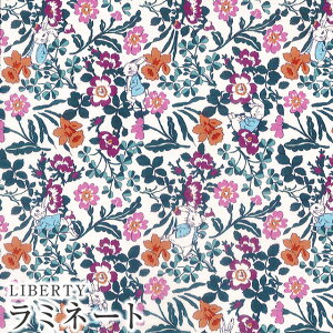 s[^[rbg×oeBt@ubNX LIBERTYoeBvg Y~l[g(rj[R[eBOn)Walker Rabbits(EH[J[Erbc)yp[vzMATLAMI-DC30741-J20E Pe