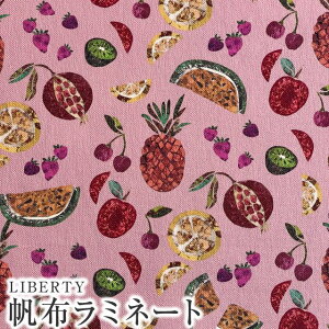 LIBERTYリバティプリント 国産11号帆布つや消しラミネート(ビニールコーティング生地)<Pietra Dura>(ピエトラデュラ)【ピンク】CANLAMI3631215-J22BC