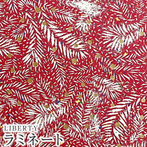 LIBERTYoeBvg Y~l[g(rj[R[eBOn)Elizabeth Polka(GUxX|J)ybhzMATLAMI-DC31688-J21A