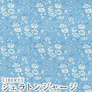 LIBERTYoeBvg YVFgW[W(^iW[W)n 60/2VCapel(Jy)3333055UK