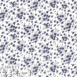 LIBERTYoeBvg Y~l[g(rj[R[eBOn)yG^[izAltona(Agi)ynzMATLAMI3335126VE