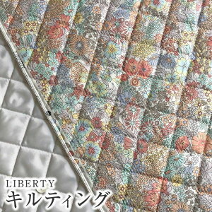 ポリエステル キルト 生地の人気商品 通販 価格比較 価格 Com ポリエステル キルト 生地の人気商品 通販 価格比較 価格 Com