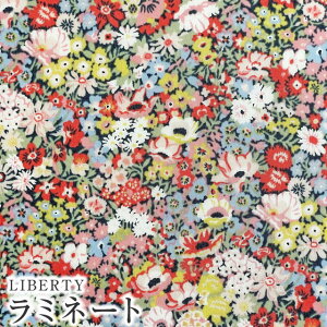 LIBERTYリバティプリント 国産つや消しラミネート(ビニールコーティング生地)【エターナル】<Thorpe Hill>(ソープヒル)MATLAMI36300115DE