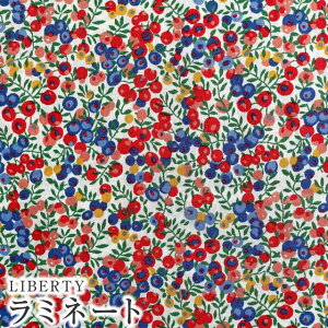 LIBERTYリバティプリント 国産つや消しラミネート(ビニールコーティング生地)【エターナル】<Wiltshire Bud>(ウィルトシャーバド)MATLAMI36300116EE