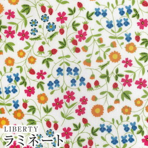 LIBERTYリバティプリント 国産つや消しラミネート(ビニールコーティング生地)【エターナル】<Little Mirabelle>(リトルミラベル)MATLAMI3632003BE