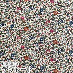 LIBERTYoeBvg Y~l[g(rj[R[eBOn)yG^[izKatie and Millie(PCeBAh~[)MATLAMI3633177LDDE